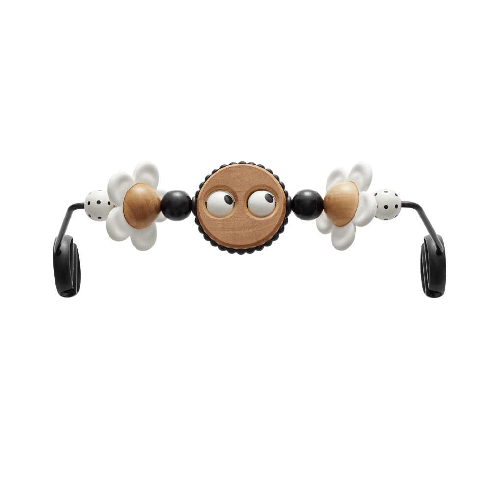 Toy for Bouncer – Googly eyes