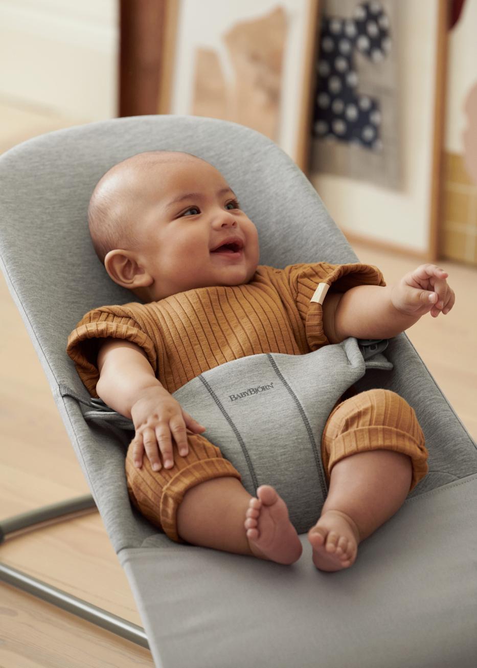 BabyBjörn baby bouncer